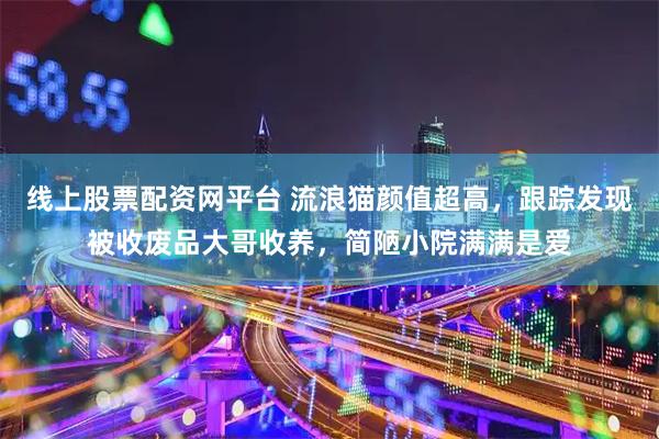 线上股票配资网平台 流浪猫颜值超高，跟踪发现被收废品大哥收养，简陋小院满满是爱