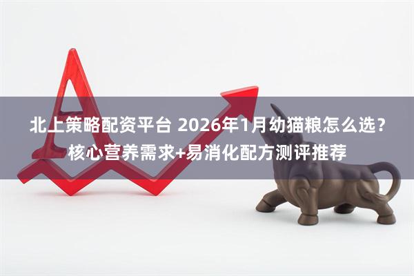 北上策略配资平台 2026年1月幼猫粮怎么选？核心营养需求+易消化配方测评推荐